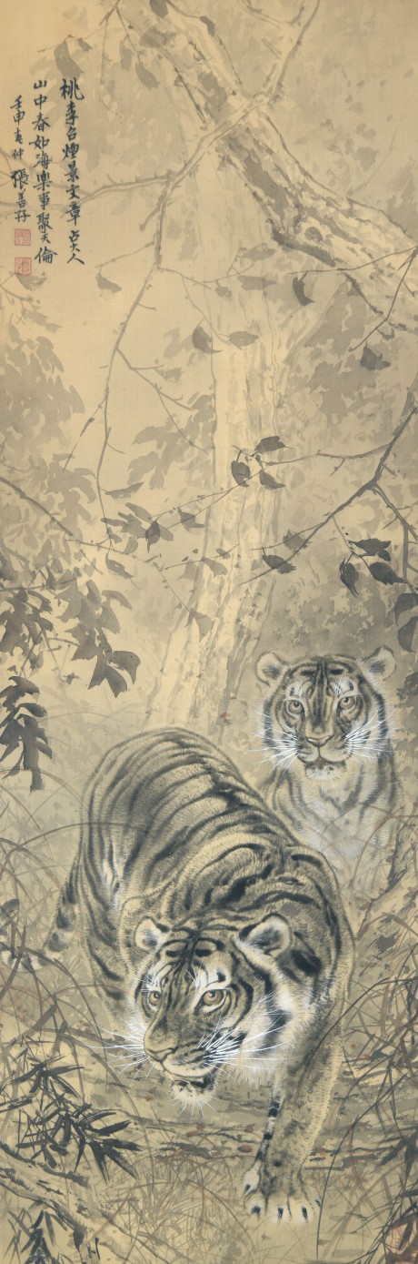 张善孖 虎立轴  122×42CM