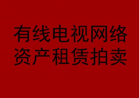 博望区有线电视网络资产租赁拍卖公告