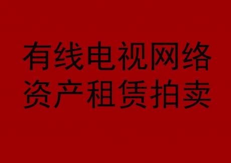 博望区有线电视网络资产租赁拍卖公告