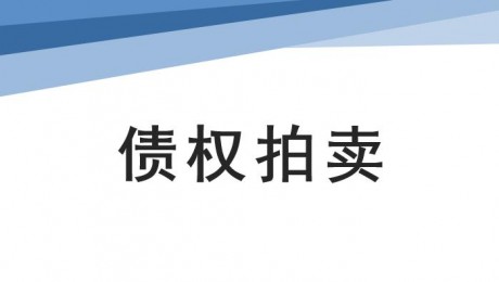 马鞍山市远程拍卖有限责任公司债权拍卖公告